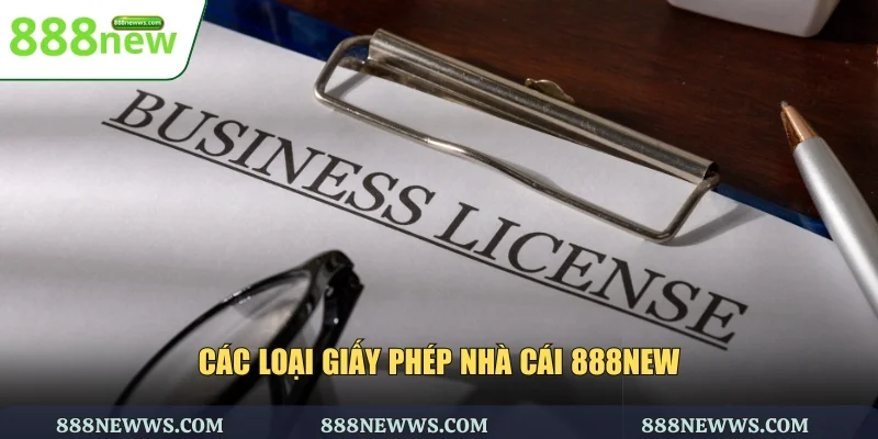 Các loại giấy phép nhà cái 888NEW