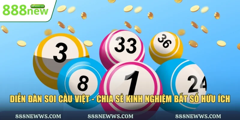 Diễn đàn soi cầu Việt