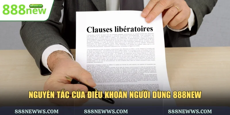 Nguyên tắc của điều khoản người dùng 888NEW